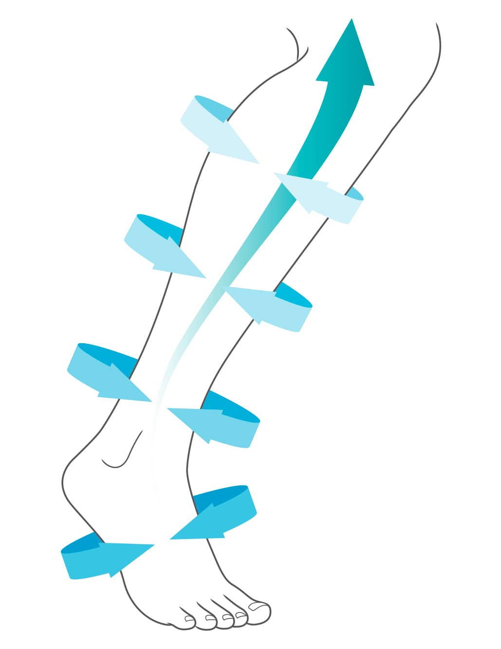 Illustration d'une demi-jambe avec flèches entourant le mollet compression veineuse